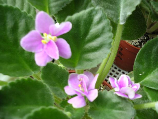 [��ˮ]��������ˮ��