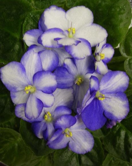 [��ˮ]��������ˮ��