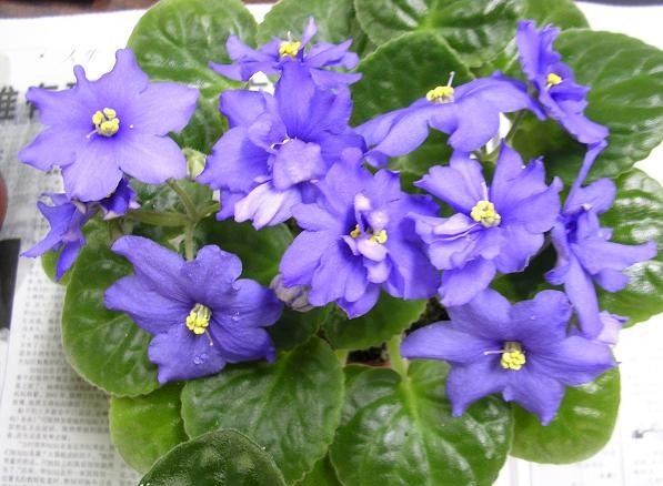 [��ˮ]��������ˮ��