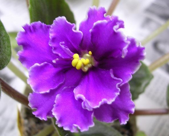 [��ˮ]��������ˮ��