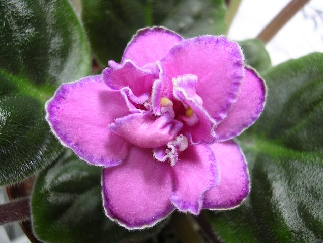 [��ˮ]��������ˮ��