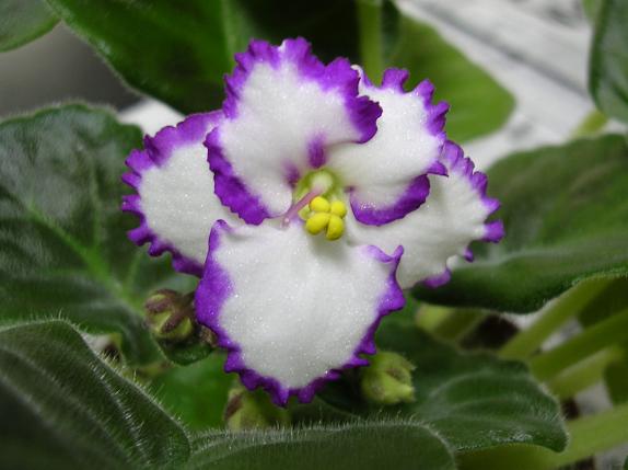 [��ˮ]��������ˮ��