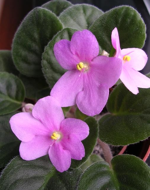 [��ˮ]��������ˮ��