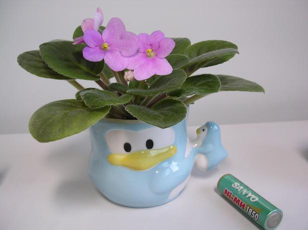 [��ˮ]��������ˮ��