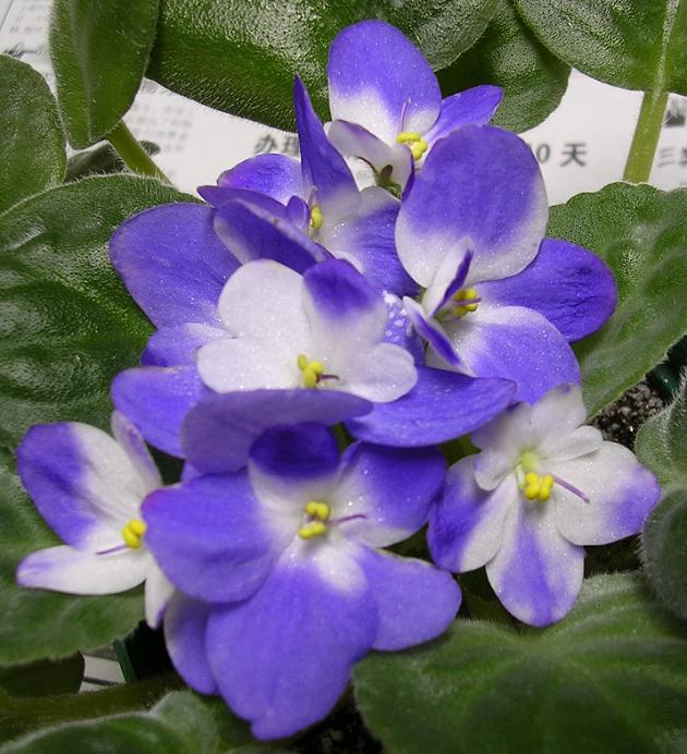 [��ˮ]��������ˮ��