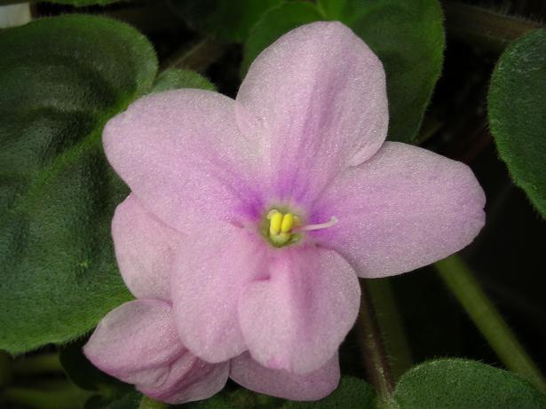 [��ˮ]��������ˮ��