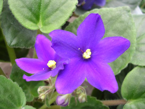 [��ˮ]��������ˮ��