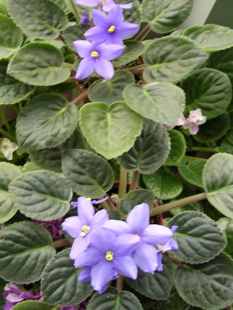 [��ˮ]��������ˮ��