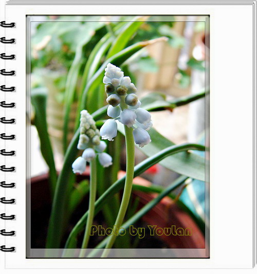 [ת��]����ɫɫ�����ѷ�����