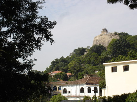 ���Ź������У�������