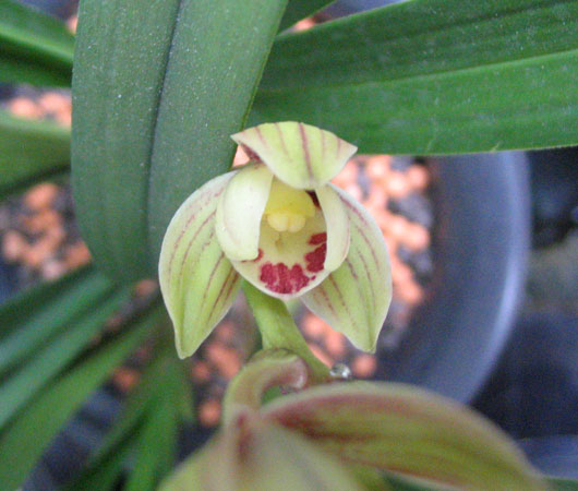 ��ɻ��ֿ���1¥���£�