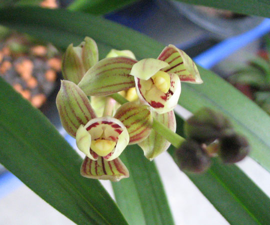 ��ɻ��ֿ���1¥���£�