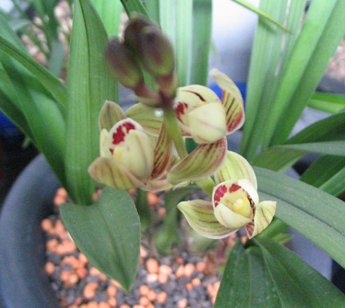 ��ɻ��ֿ���1¥���£�