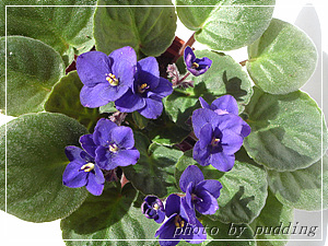 �����ҵ��³�Ա