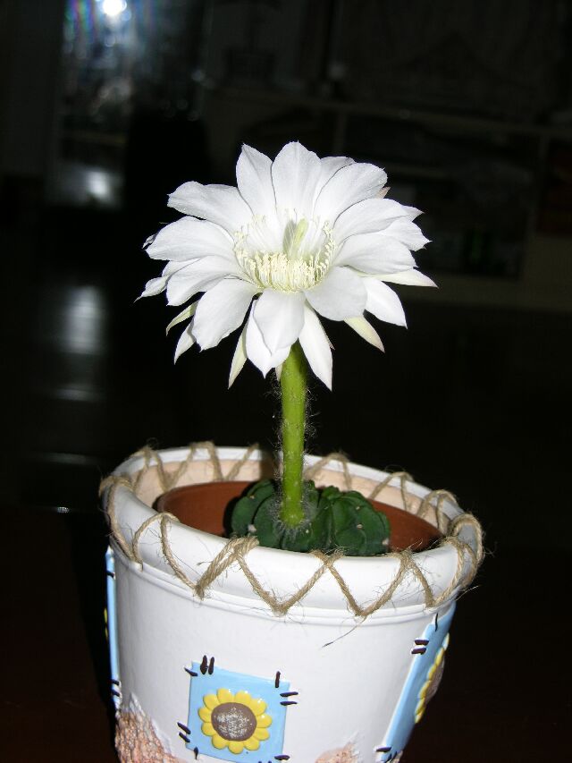 [ԭ��]��Ȼ���򡣡���