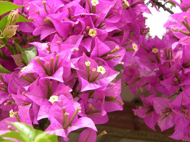 Ҳ������÷������