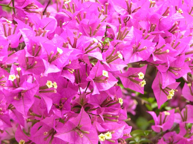 Ҳ������÷������