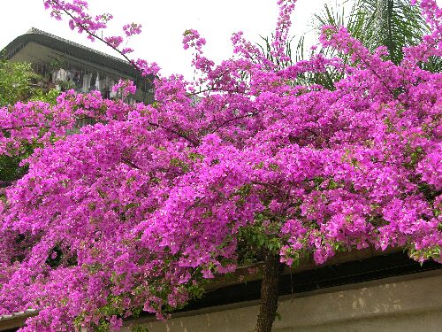 Ҳ������÷������