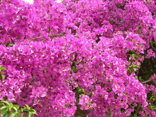 Ҳ������÷������