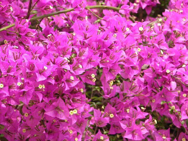 Ҳ������÷������