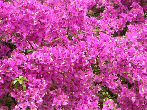 Ҳ������÷������