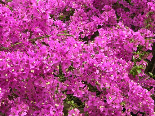 Ҳ������÷������