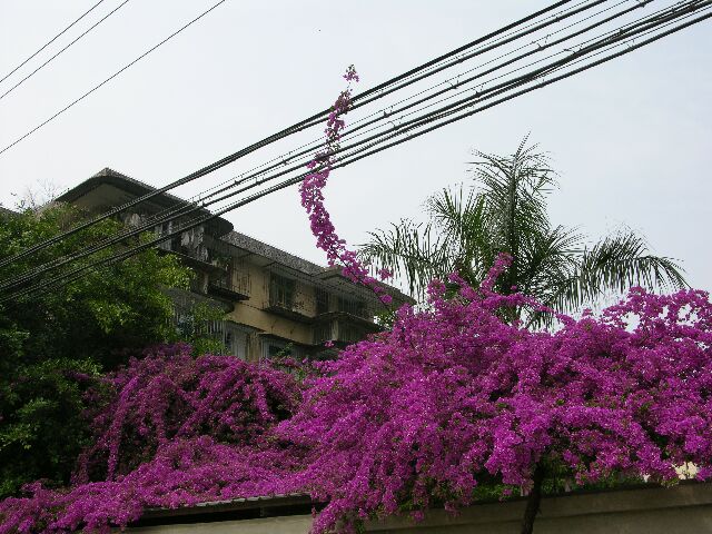 Ҳ������÷������