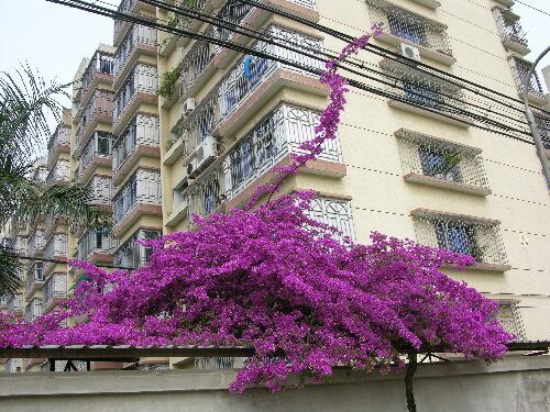 Ҳ������÷������