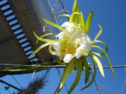 �²¿�����ʲô~~