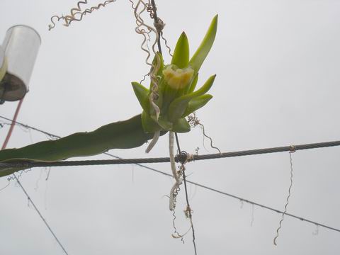 �²¿�����ʲô~~