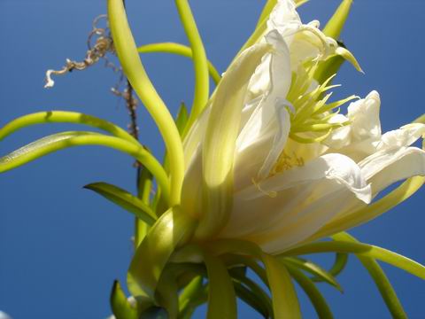 �²¿�����ʲô~~