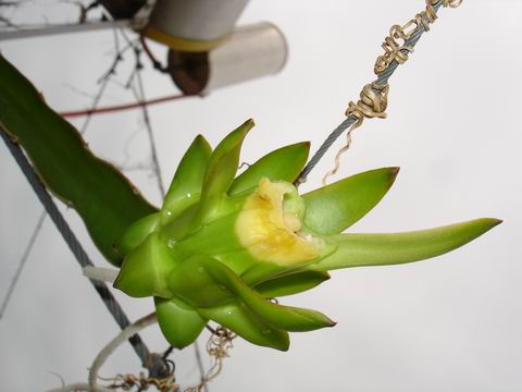 �²¿�����ʲô~~