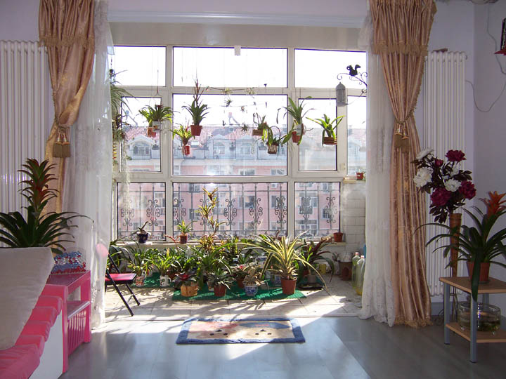 �ҵķ���֮�ҺͿ������棨10��5�ո��£�