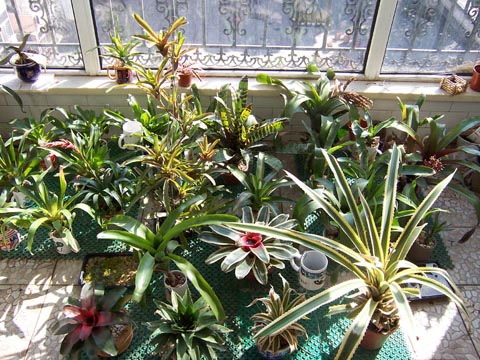 �ҵķ���֮�ҺͿ������棨10��5�ո��£�