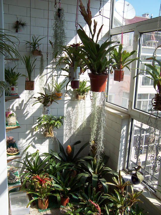 �ҵķ���֮�ҺͿ������棨10��5�ո��£�