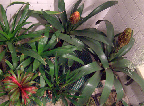 �ҵķ���֮�ҺͿ������棨10��5�ո��£�