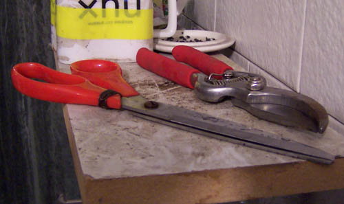 �ҵķ���֮�ҺͿ������棨10��5�ո��£�