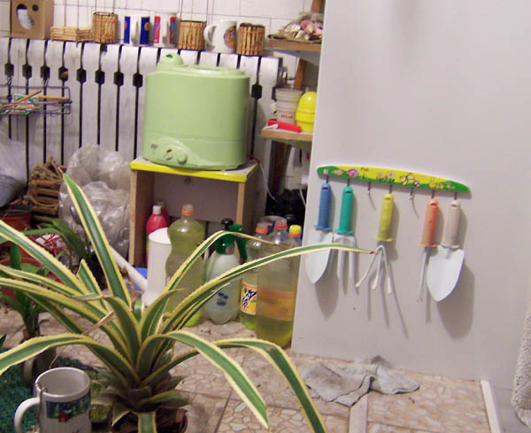 �ҵķ���֮�ҺͿ������棨10��5�ո��£�