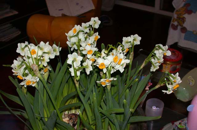 ����ˮ�ɺ;ջ�ͼƬ