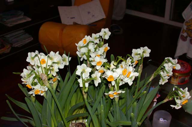 ����ˮ�ɺ;ջ�ͼƬ