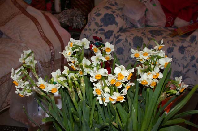 ����ˮ�ɺ;ջ�ͼƬ