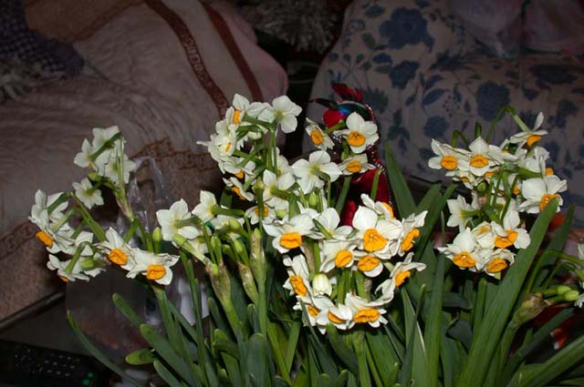 ����ˮ�ɺ;ջ�ͼƬ