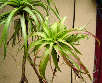 Rachel MM����....�̾�������ϲ���ޣ�