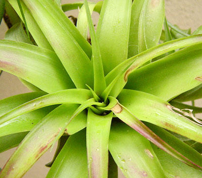 Rachel MM����....�̾�������ϲ���ޣ�