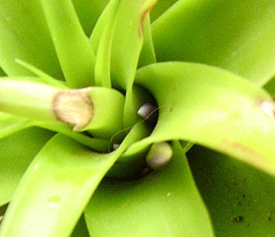 Rachel MM����....�̾�������ϲ���ޣ�