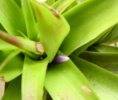 Rachel MM����....�̾�������ϲ���ޣ�