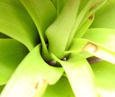 Rachel MM����....�̾�������ϲ���ޣ�