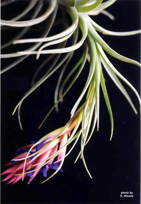 [����]��ؿ����������