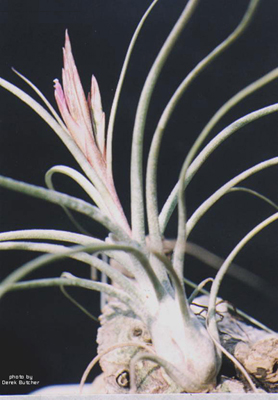 [����]��ؿ����������