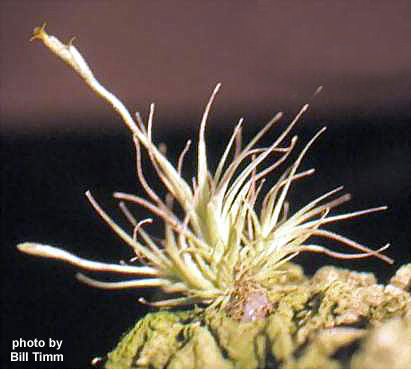 [����]��ؿ����������